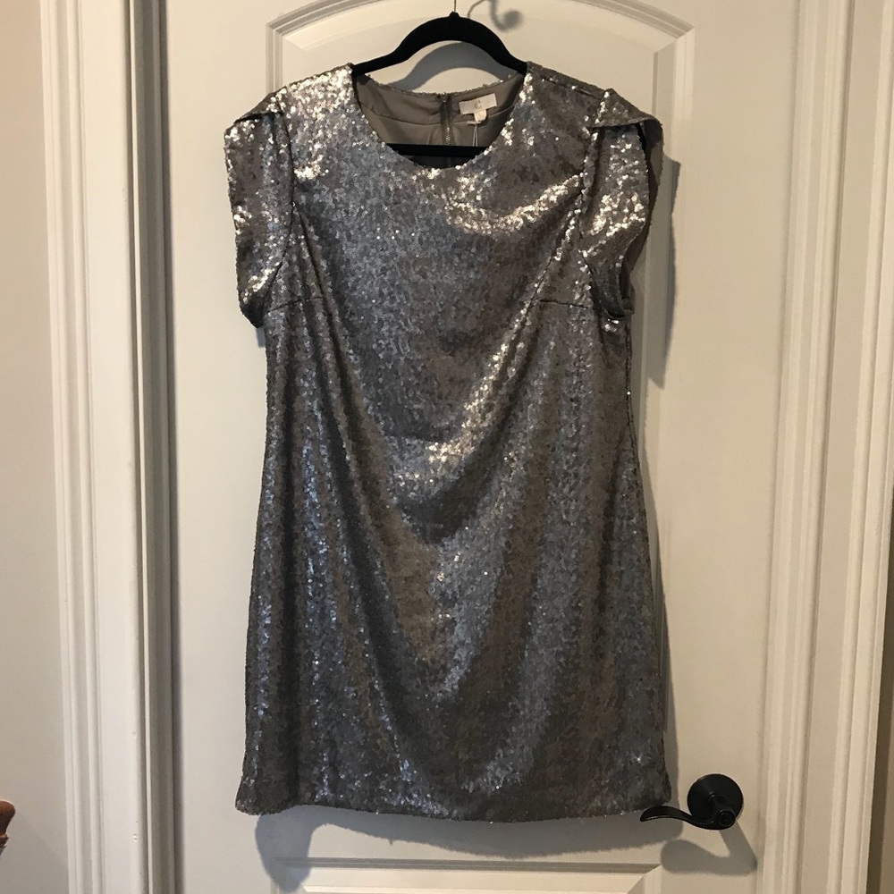 Sequined Dress!  Perfect for a special occasion!